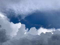 -五营红松林海景区