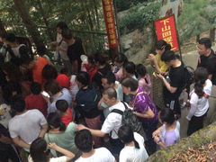 -藏龙百瀑风景区