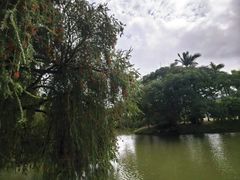 -人民公园(罗湖区)