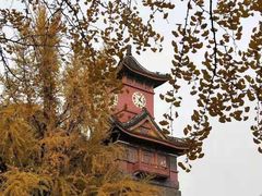 -四川大学(望江校区)