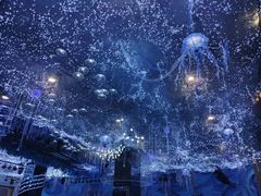 -玺尊龙·云岭四季(西南店)