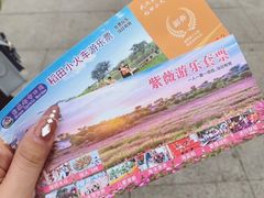 -武汉紫薇都市田园