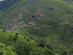 -秦岭终南山世界地质公园翠华山景区
