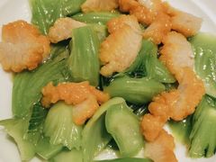 黄耳盖菜-滕头生态酒店(奉化店)