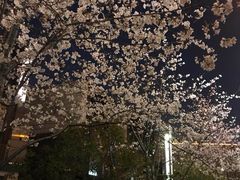 -苏州清山会议中心