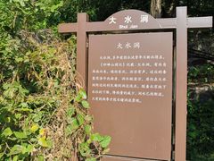 -阳台山自然风景区