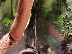 -正佳雨林生态植物园