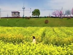 -花亭湖风景名胜区
