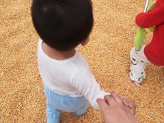 -麻涌飞鸭开心农场