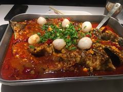 -鱼酷活鱼烤鱼(沈阳大悦城店)