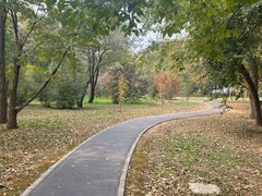 -国家植物园南园