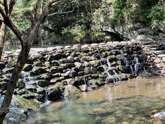 -石台牯牛降景区