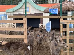 -盈香心动乐园