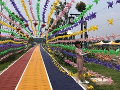 -溱湖国家湿地公园