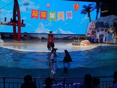 -三亚海昌梦幻海洋不夜城