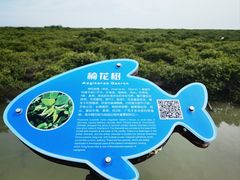 -北海金海湾红树林生态旅游区