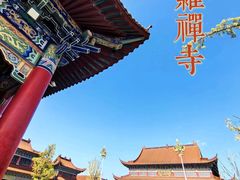 -阳澄湖半岛旅游度假区