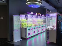 -碧涛阁·泡泡海洋·汤泉洗浴(王府花园店)