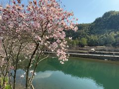 -鹿亭中村