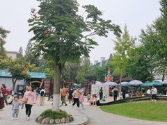 -成飞公园
