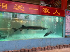 -年辉渔村·非遗传承餐厅(新丰江店)