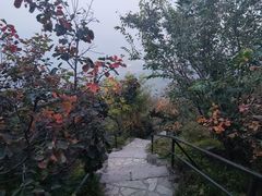 -香山公园