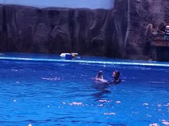 -华夏文旅海洋公园