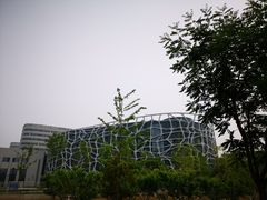 -首都医科大学附属北京天坛医院