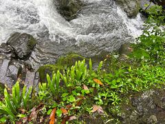 -石台牯牛降景区