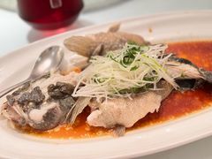 -老洋房花园饭店(绍兴路店)
