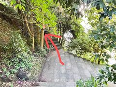 -南山植物园