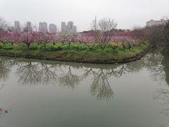 -南汇桃花村