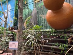 -呀路古热带植物园