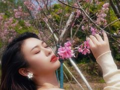 -天适樱花悠乐园