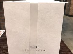 -BLACKSWAN黑天鹅(环球店)
