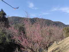 -兰亭风景区
