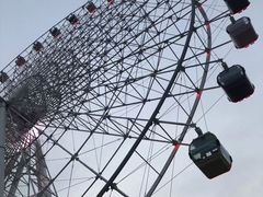 -琴岛之星摩天轮