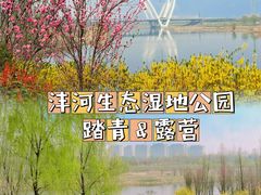 -沣东·沣河生态景区