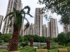 -苏州河梦清园环保主题公园