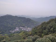 -龙井村
