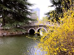 -西苑公园