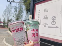 -洛阳白马寺