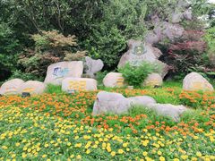 -云龙湖旅游景区