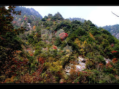 景点-大明山自然探索公园