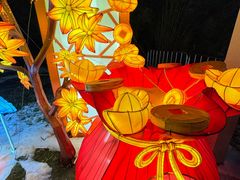-武汉园博园(武汉自然博物馆)