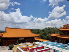 -深圳仙湖植物园