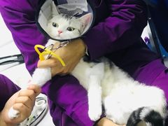 -达爱动物医院·犬猫分区·CT·复杂眼科(远洋山水分院)