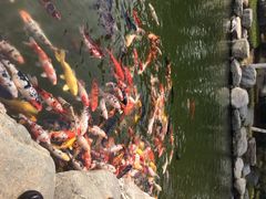 iphone_upload_pic-中国唐苑