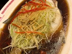 -中国城银都鱼翅酒楼