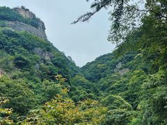 -北仑森林植物园